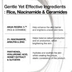 ANUA RICE CERAMIDE 7 HYDRATING BARRIER SERUM - Image 4
